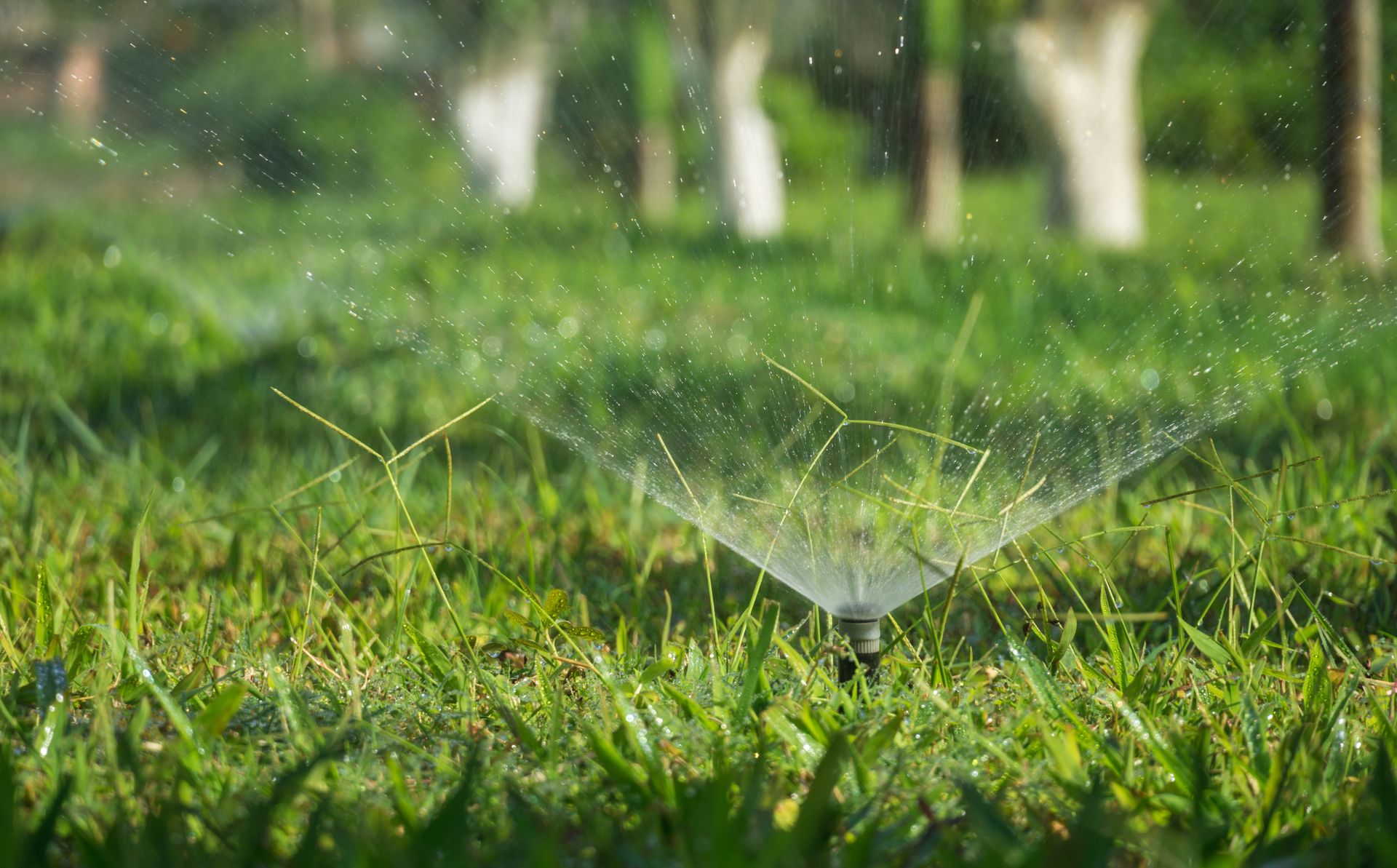 A sprinkler system watering a lush green grass field outdoors during daytime.