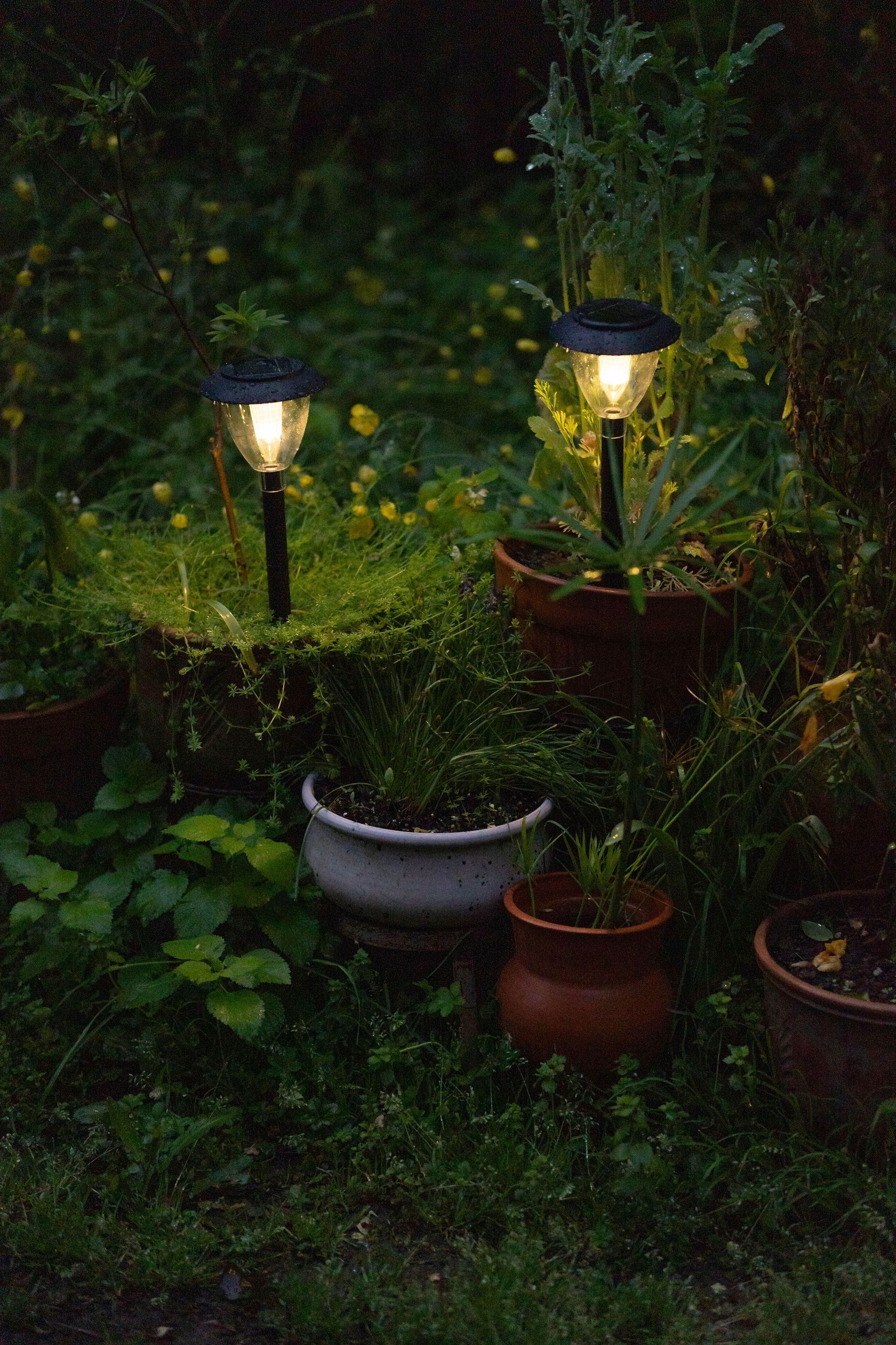 Warm garden lights glow among potted plants, creating a serene evening ambiance.